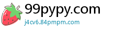 99pypy.com